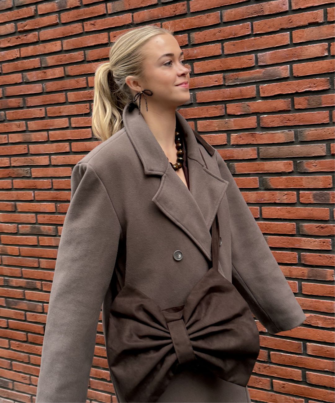 Bow Bag Chocolate Brown