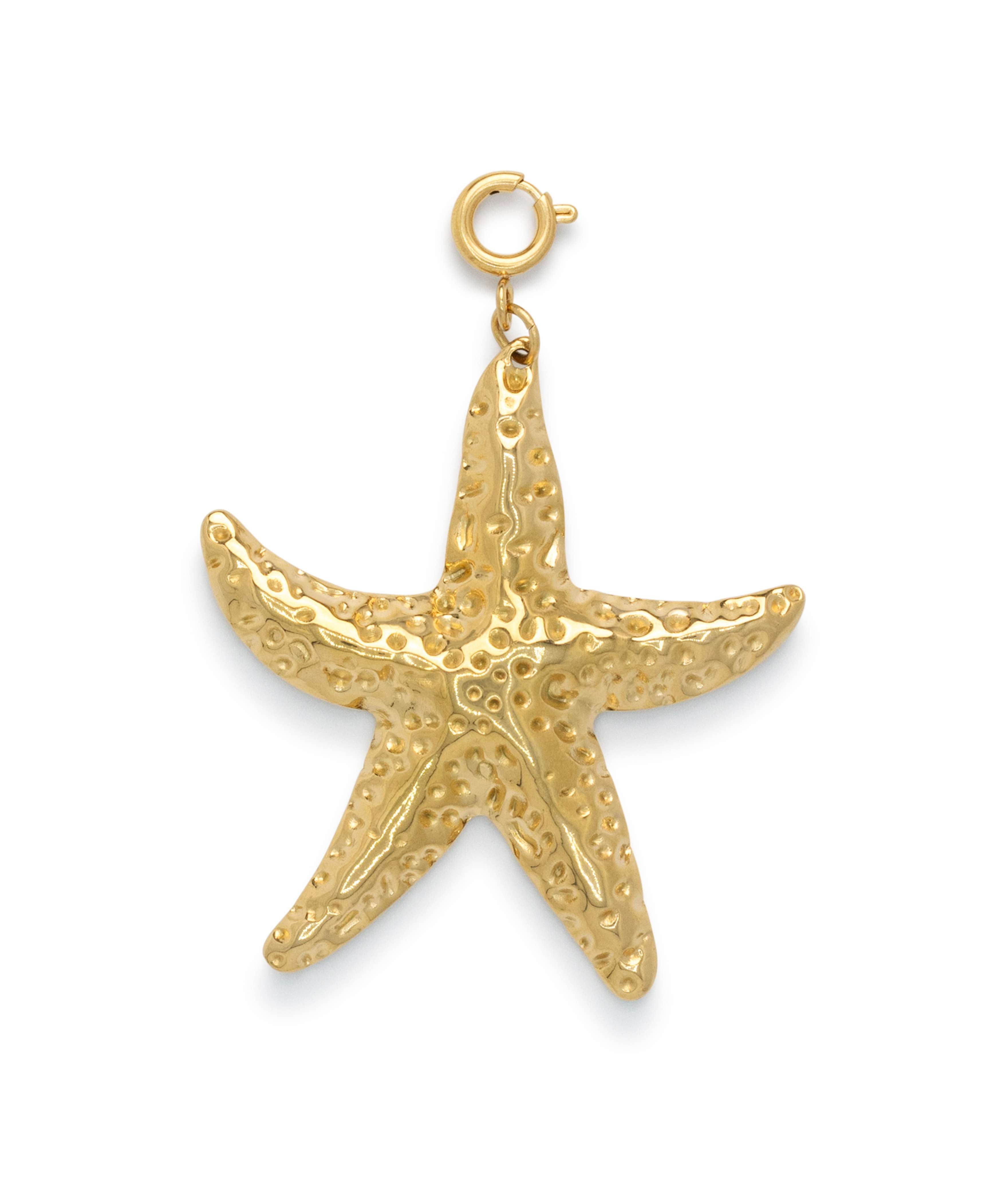 Big Seastar Charm