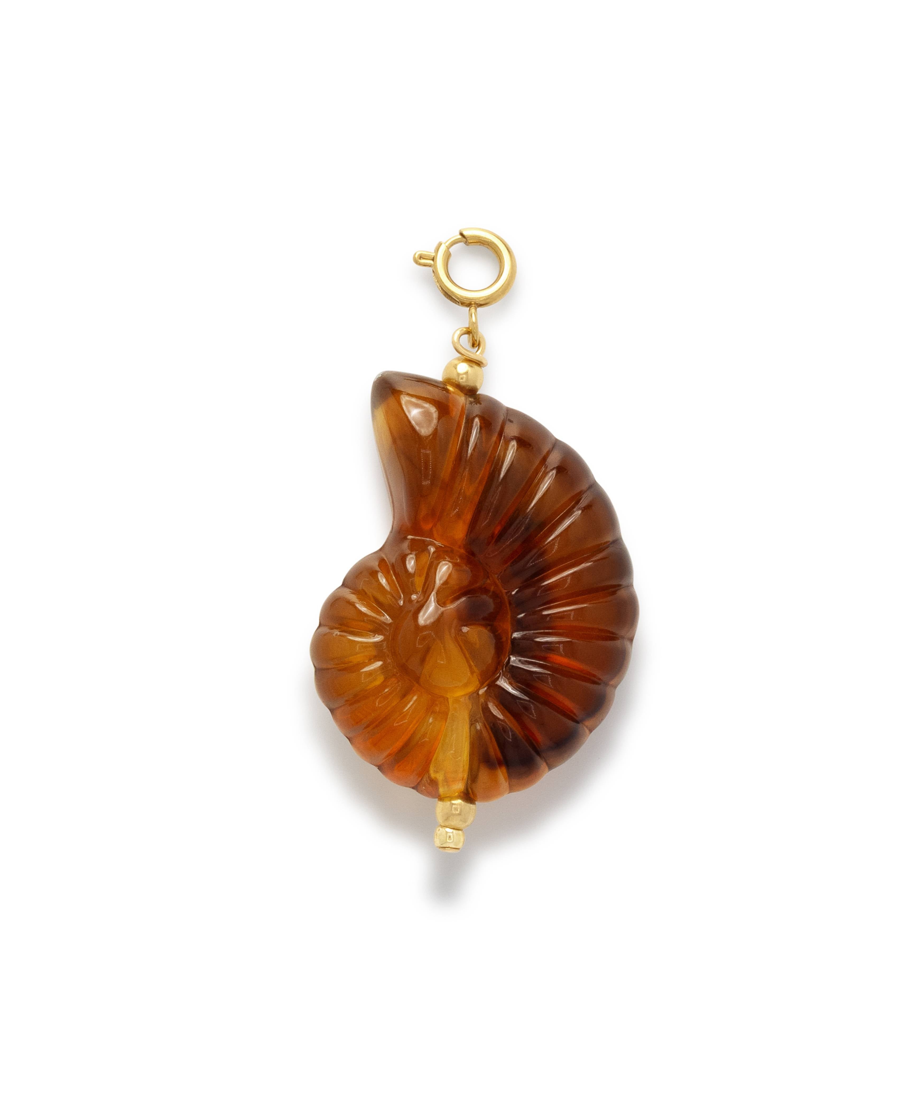 Shell Bedel Brown
