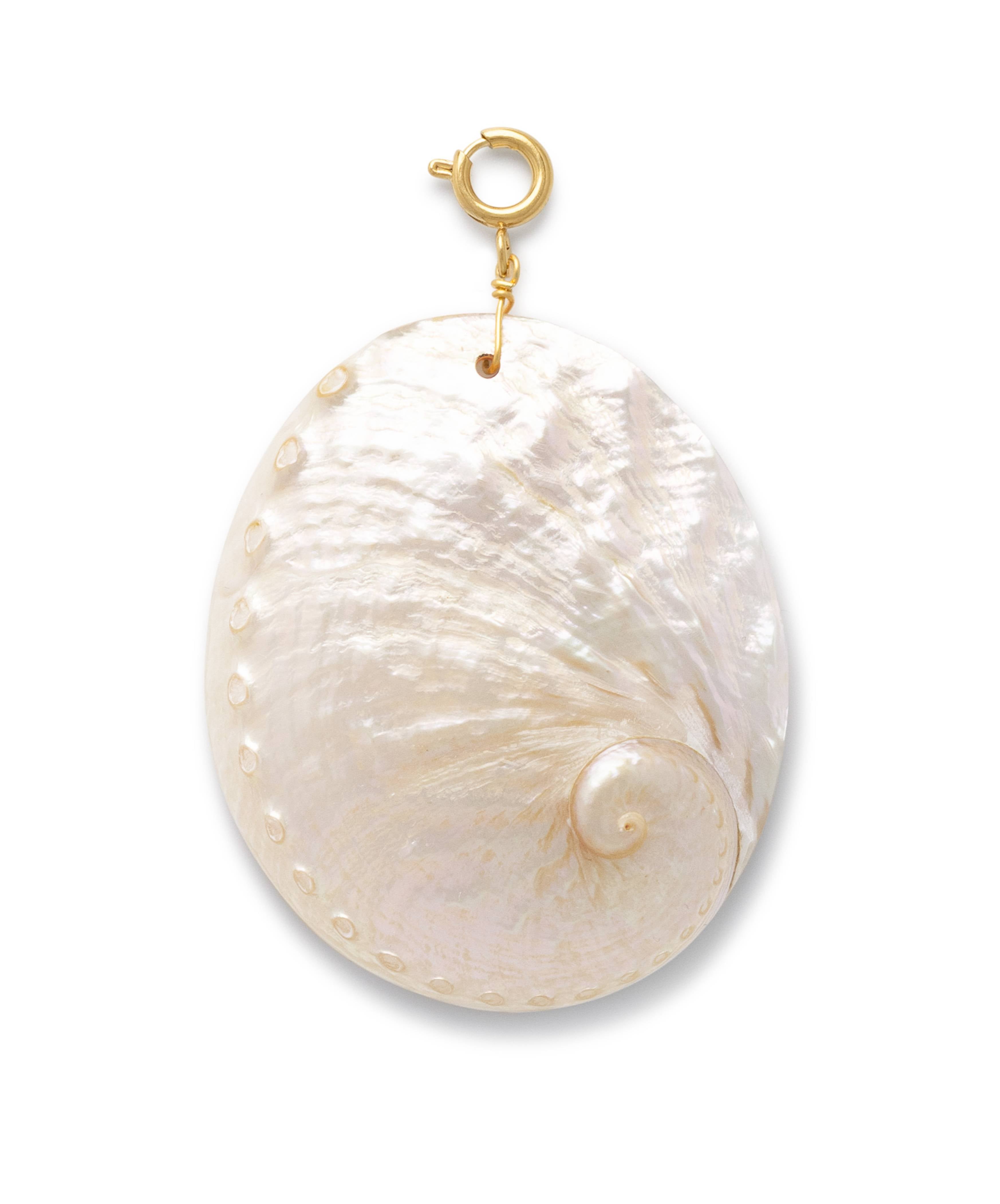Oval Shell Bedel